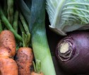 Mixed vegetables including carrots, leeks, turnips and cabbage