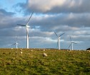 Wind farm with wind turbines and sheep grazing in a field.