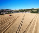 Aerial view of crops in a field being harvested