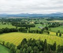 Aerial view of green fields and trees.