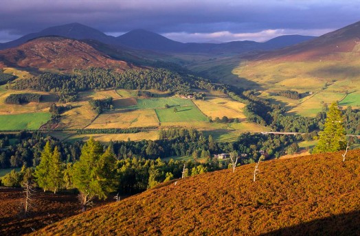 Scottish landscape