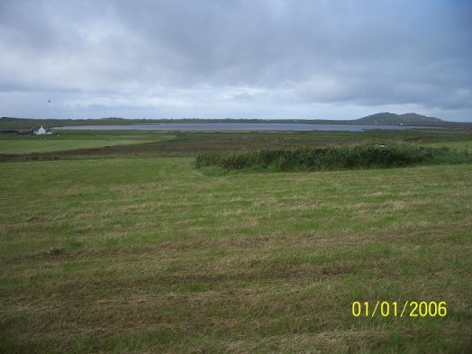 Corncrake habitat – Credit: RSPB Corncrake habitat – Credit: RSPB