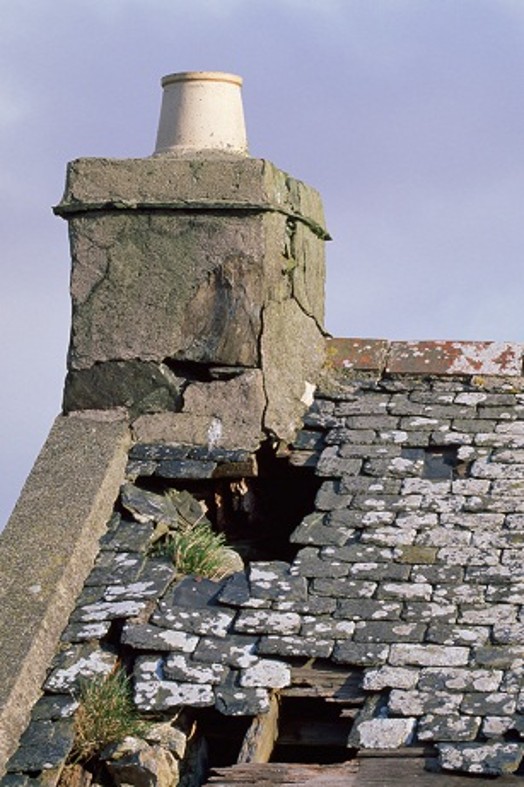 Chough nest site – Credit: Andy Hay – © RSPB images Chough nest site – Credit: Andy Hay – © RSPB images