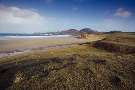 Chough feeding habitat – Credit: Andy Hay – © RSPB images Chough feeding habitat – Credit: Andy Hay – © RSPB images