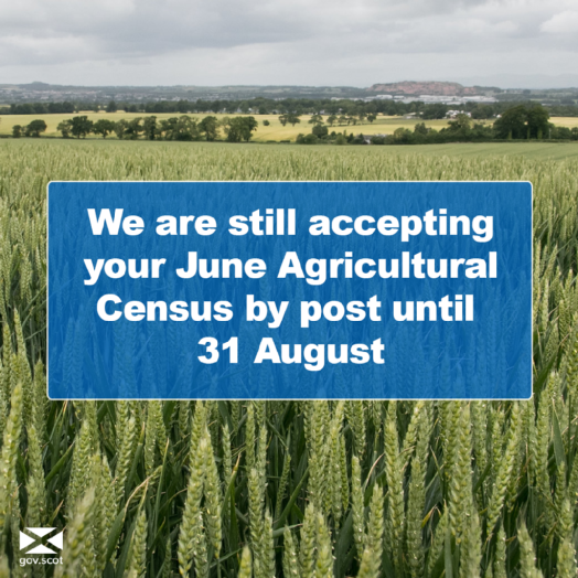 Census closes by post 31 August Census closes by post 31 August