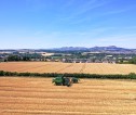 Combine harvester