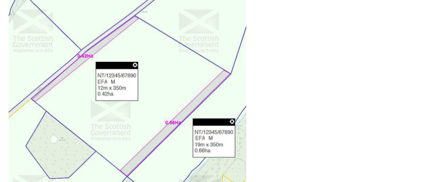 Diagram showing two claimed EFA margins Diagram showing two claimed EFA margins