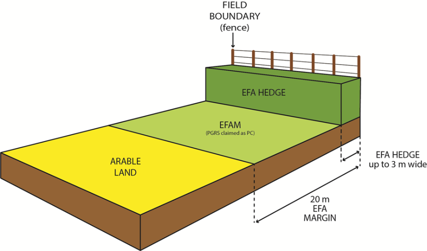 EFA location diagram one EFA location diagram one