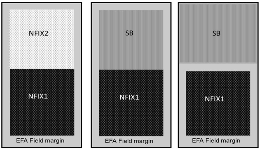 Examples of and EFA field margin surrounding EFA nitrogen-fixing crops Examples of and EFA field margin surrounding EFA nitrogen-fixing crops