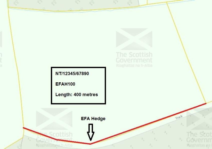 EFA diagram EFA diagram