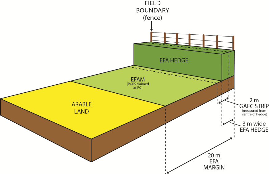 EFA margin diagram example 3 EFA margin diagram example 3