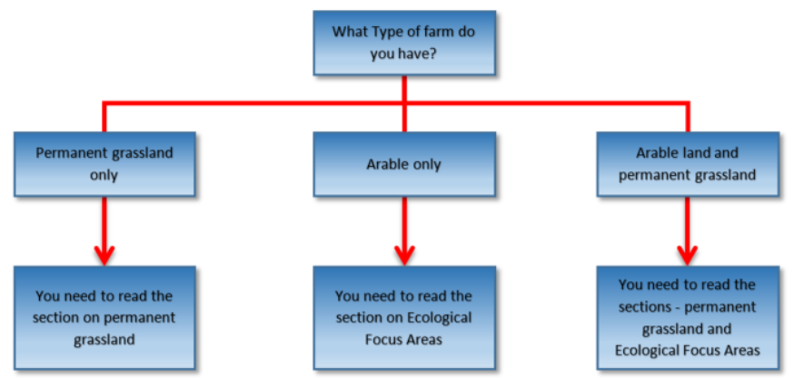 Flow chart detailing what guidance a customer should read Flow chart detailing what guidance a customer should read