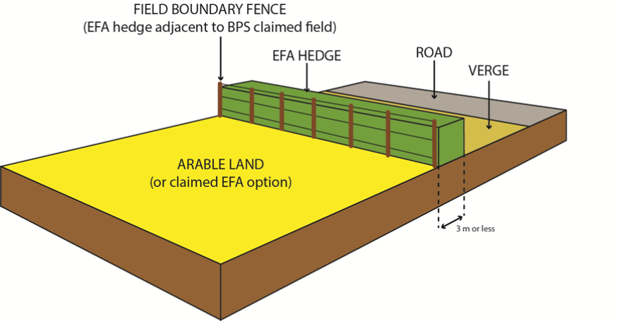 EFA hedge diagram example 1 EFA hedge diagram example 1