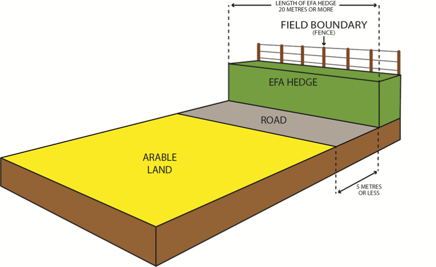 EFA hedge diagram example 2 EFA hedge diagram example 2