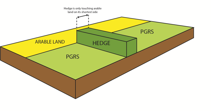 EFA hedge diagram example 3 EFA hedge diagram example 3