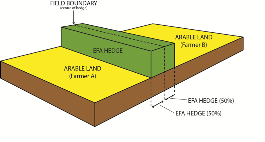 EFA hedge diagram example 4 EFA hedge diagram example 4