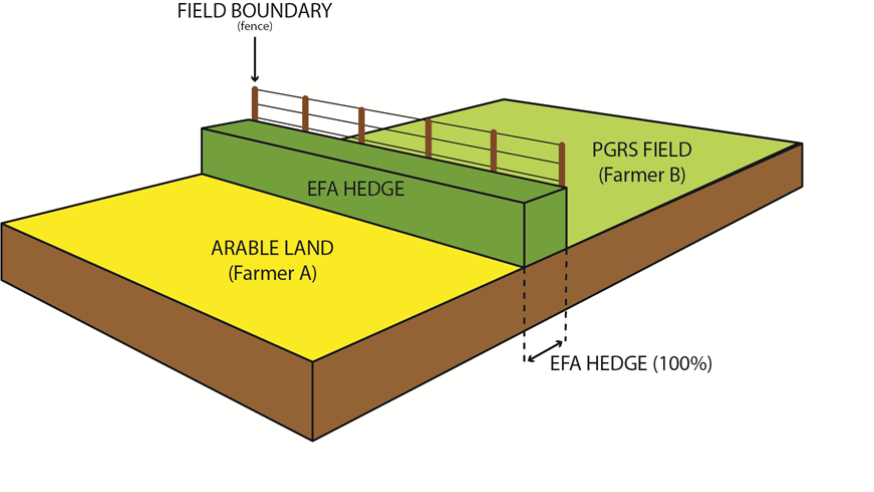 EFA diagram example 5 EFA diagram example 5