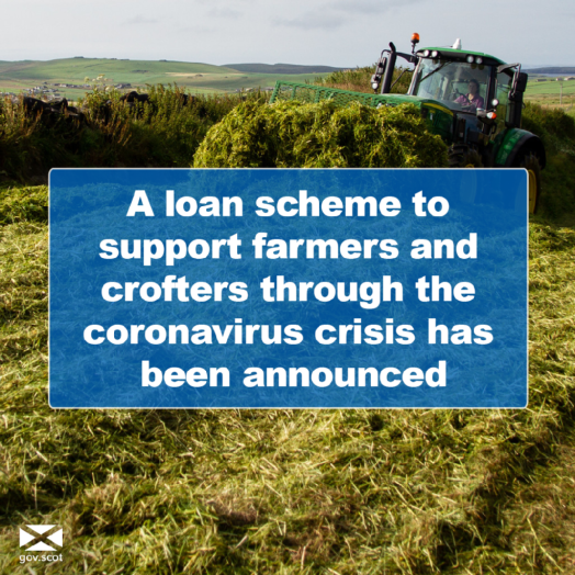 Loan scheme annoucement Loan scheme annoucement