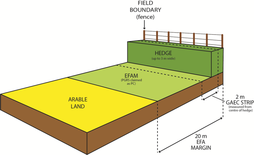 EFA margin diagram, example 2 EFA margin diagram, example 2
