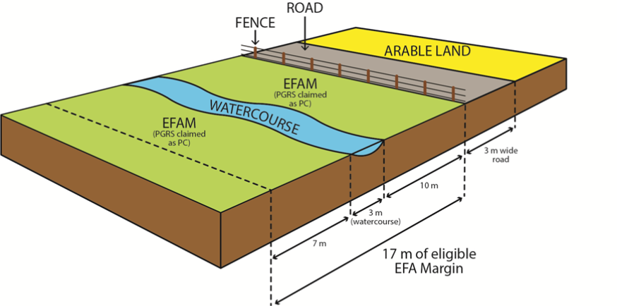 EFA margin diagram example 5 EFA margin diagram example 5