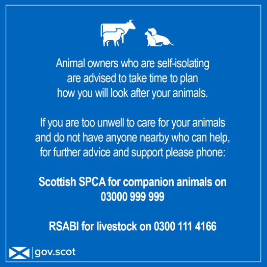 Image showing basic pet guidance tips during Coronavirus such as planning ahead. Phone numbers for RSABI and the SSPCA are also provided Image showing basic pet guidance tips during Coronavirus such as planning ahead. Phone numbers for RSABI and the SSPCA are also provided
