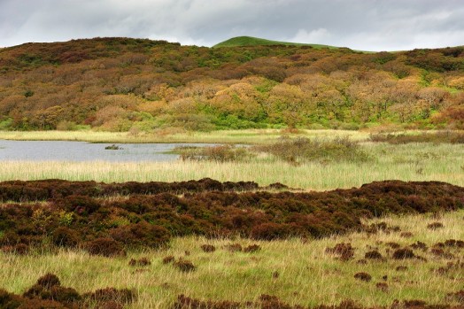 Habitat mosaic containing scrub moor, loch and native woodland – © Scottish Natural Heritage Habitat mosaic containing scrub moor, loch and native woodland – © Scottish Natural Heritage