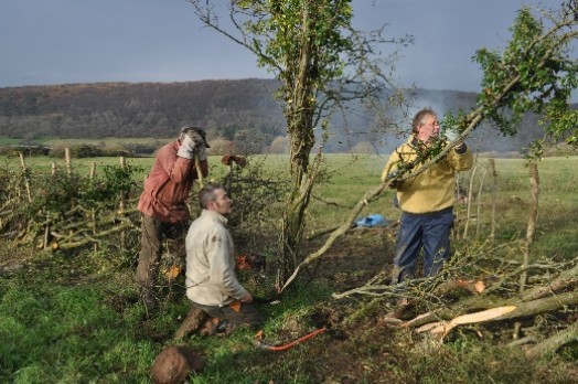 Hedge-laying training on the Isle of Bute – Credit: Tony Seymour – © TFE 2014 Hedge-laying training on the Isle of Bute – Credit: Tony Seymour – © TFE 2014