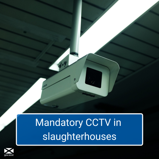 CCTV camera inside a building with text stating they are now mandatory CCTV camera inside a building with text stating they are now mandatory