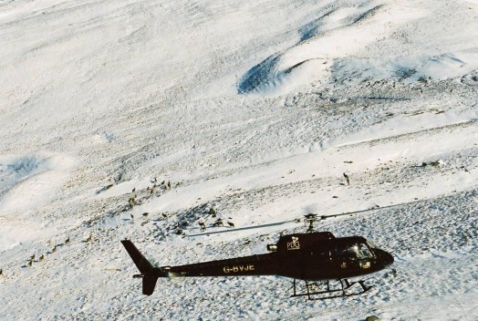 Helicopter count – © Scottish Natural Heritage Helicopter count – © Scottish Natural Heritage