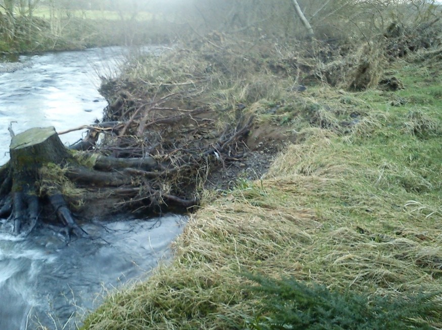 Ineligible floodbank damage