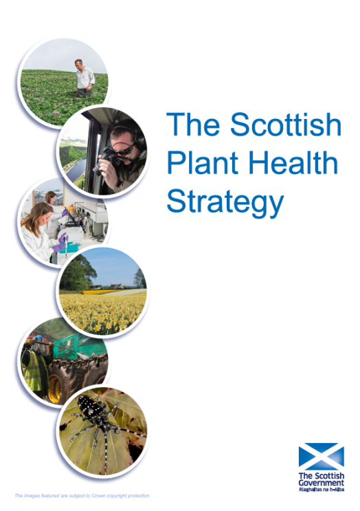 The Scottish Plant Health Strategy The Scottish Plant Health Strategy